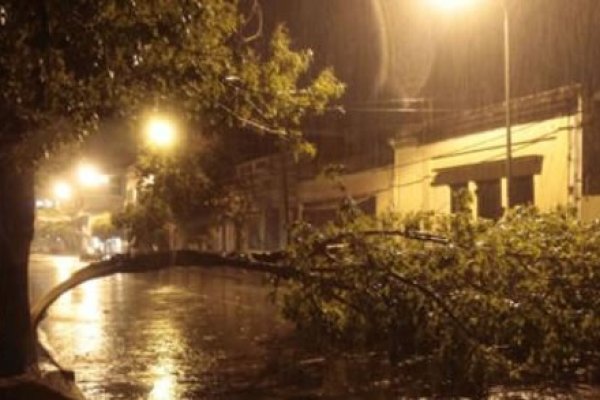 Fuertes vientos y una intensa tormenta se desató sobre la ciudad