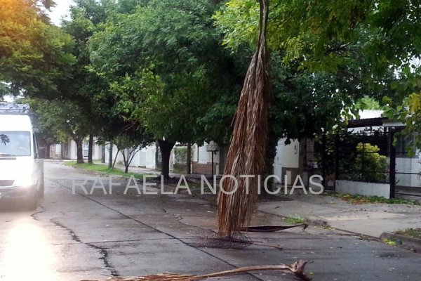 Rafaela: Fuertes ráfagas de vientos y lluvia causaron algunos inconvenientes