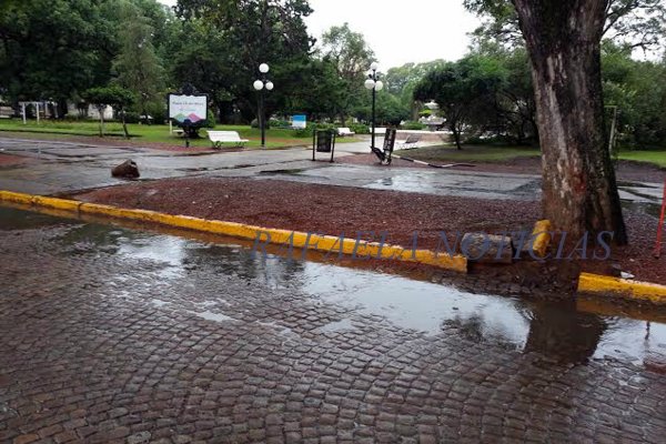 Presuntamente alcoholizados colisionaron con árboles, pudo ser grave