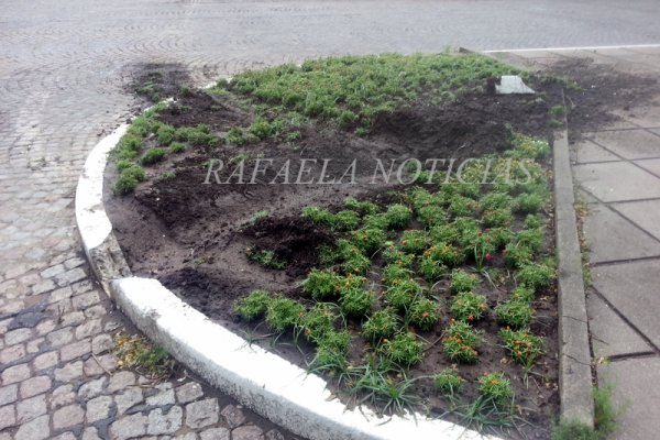 Conductor alcoholizado terminó en el cantero