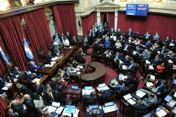 Juraron los senadores que se incorporarán el 10 de diciembre a la Cámara alta