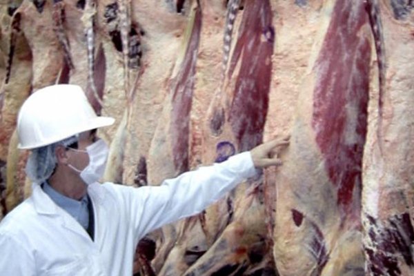 Advierten que por los altos precios de la carne hay una caída del consumo