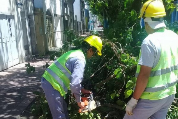 Falsa alarma malintencionada sobre un tornado