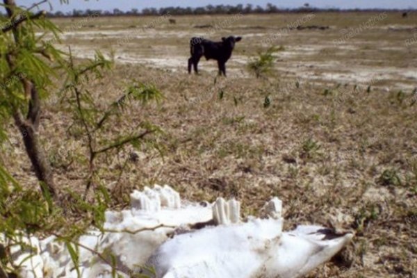 La provincia declarará la Emergencia Agropecuaria