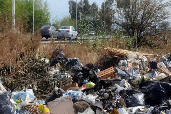 El Senado aprobó proyecto de Calvo sobre erradicación de basurales a cielo abierto