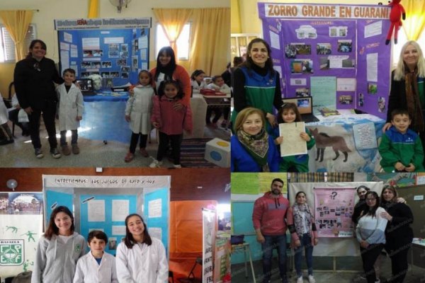 Feria de Ciencias: se conocieron los proyectos clasificados