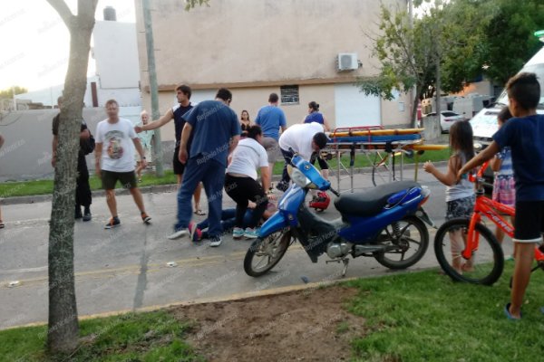 Chocó un perro y terminó lesionada