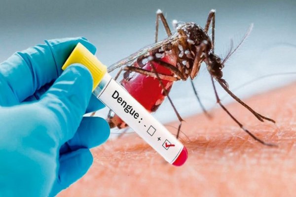 Se aplana la curva del dengue en Rafaela