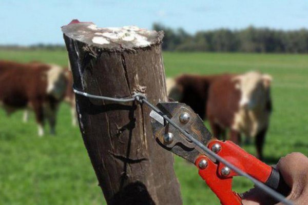 Inseguridad rural: la agroindustria observa un avance institucional