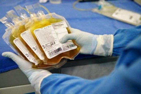 COVID-19: dos santafesinos que donaron plasma tienen esperanzas de salvar 6 vidas