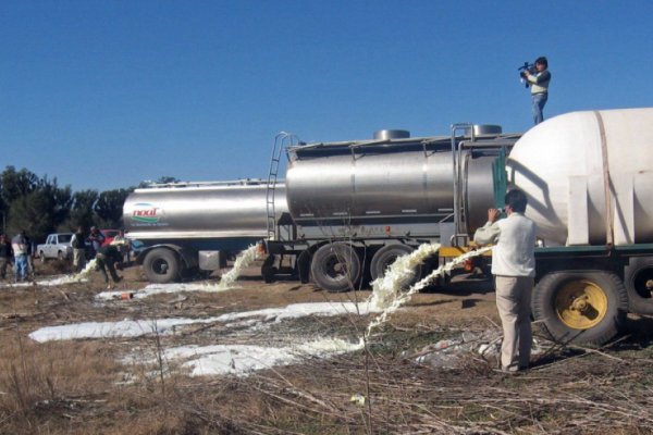 Empresas lácteas prefirieron tirar la leche excedente