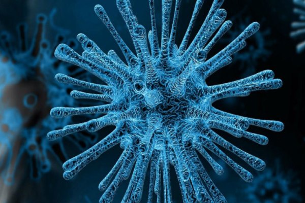 Un efecto colateral que deja el aislamiento: ¿Qué pasó con la gripe con el coronavirus?