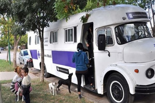 Continúa la prestación del servicio de castración y vacunación para mascotas