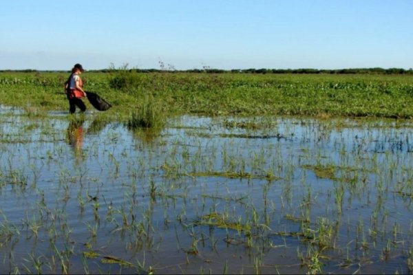 Los humedales en Argentina son tierras productivas desde hace varias centurias