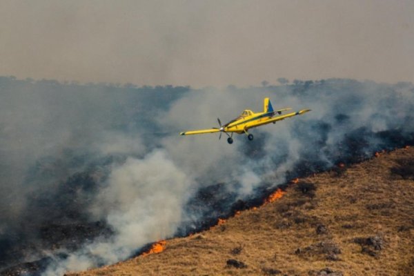 Sofocar los incendios en el Delta del Paraná cuesta $20 millones diarios