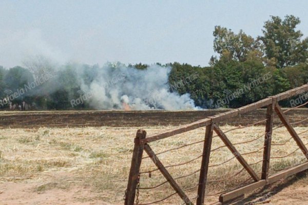 Dos focos de incendio en un mismo campo