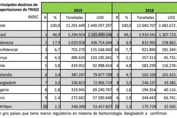 Entidades advierten riesgos en el trigo resistente a sequía