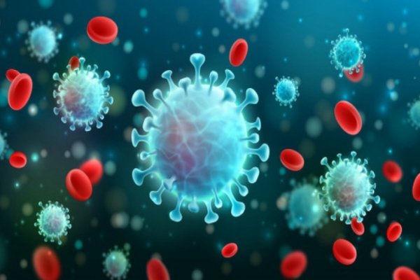 Coronavirus: argentinos logran producir a gran escala proteína para desarrollar test de antígenos