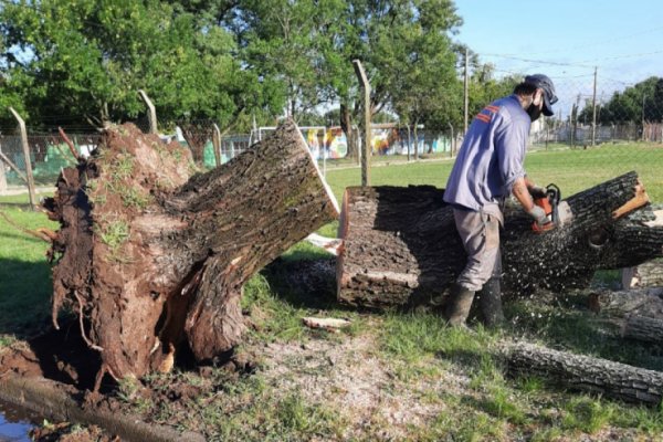 Por la tormenta, se realizaron más de 250 llamados a la Guardia Urbana