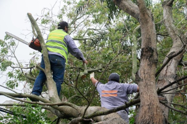 250 llamados a la Guardia Urbana durante el temporal