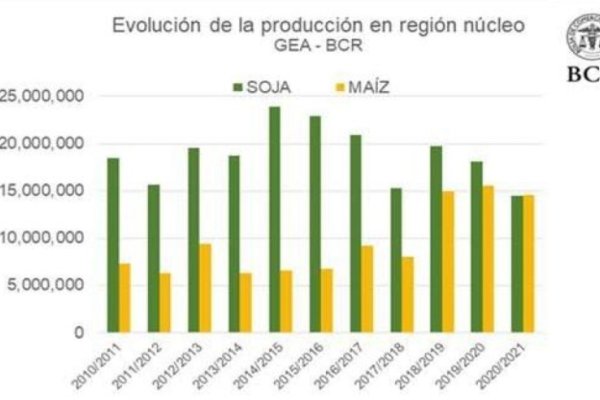 Soja: la cosecha más baja de la última década