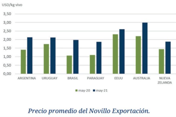 A pesar de los precios, la ganadería argentina marcha a pura incertidumbre