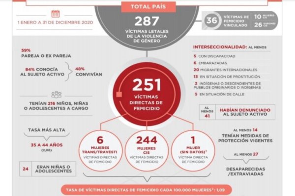 La Corte Suprema registró 251 femicidios en 2020