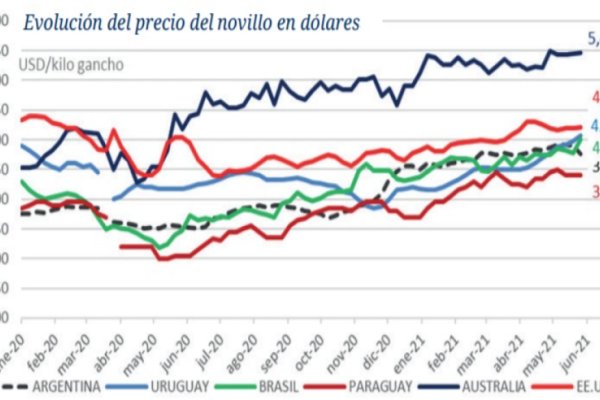 Carne: los precios internacionales en alza