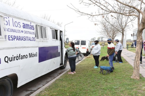 La próxima semana el quirófano móvil estará en Bo. Barranquitas