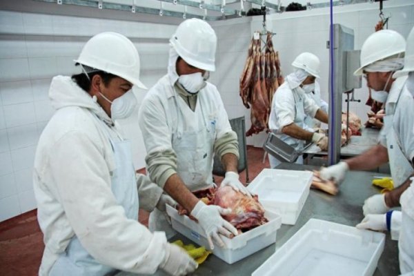 Cae la faena de bovinos, porcinos y aves