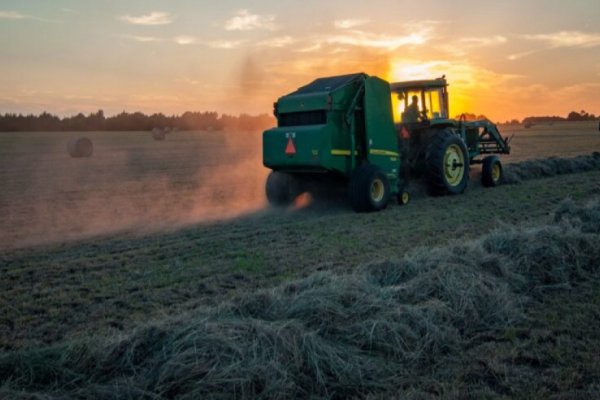 Las aseguradoras se suman al Consejo Agroindustrial