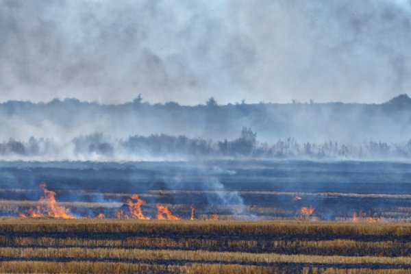 ¿Como prevenir incendios rurales o forestales?