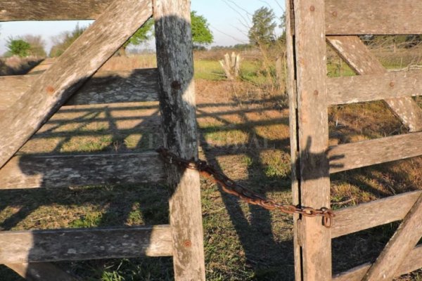 Más robo de cables: Ahora en un campo de Vila