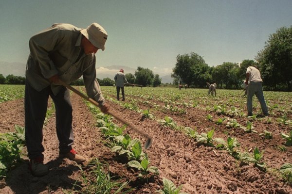 Trabajadores rurales: Desde agosto, pagarán la prestación por desempleo por CBU