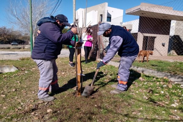 Comienzan las acciones para la forestación 2021