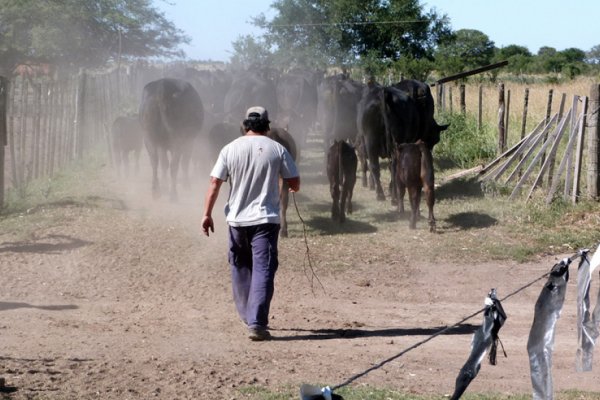 Aumento salarial para los peones de campo