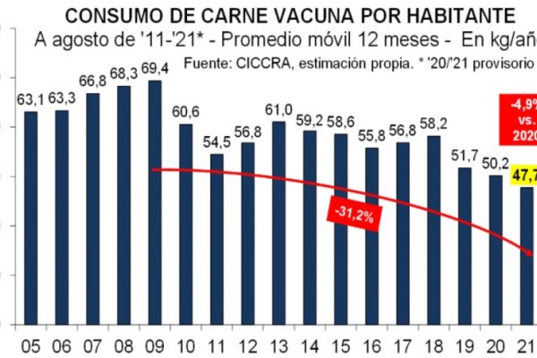 Lento pero seguro, se deteriora la cadena de la carne