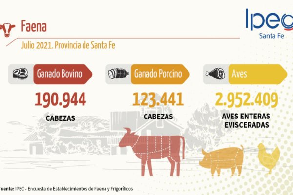 Aumenta el nivel de faenamiento de bovinos y porcinos