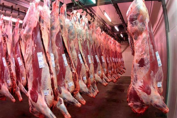 Carne: Una agenda postergada merece una atención urgente