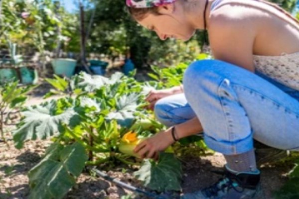 Mujeres, protagonistas constantes del campo