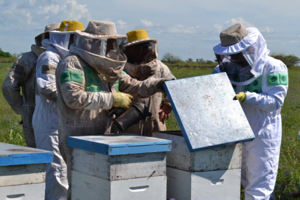 La provincia avanza en las capacitaciones para el sector apícola