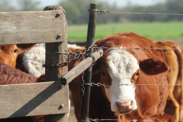 Humberto: La inseguridad ahora llegó a la zona rural