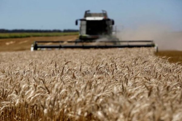 La liquidación de divisas agrícolas aportaría USD 32.500 millones