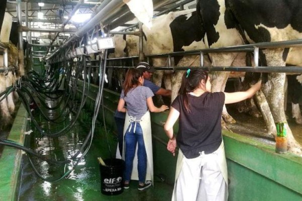 Más de 600 productores se capacitaron en buenas prácticas en la producción primaria de leche