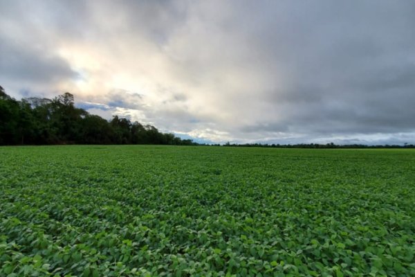 El alivio para el campo llegaría con enero