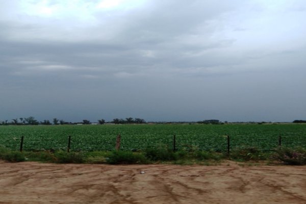 Las precipitaciones del primer día del año sólo sumaron seis milímetros