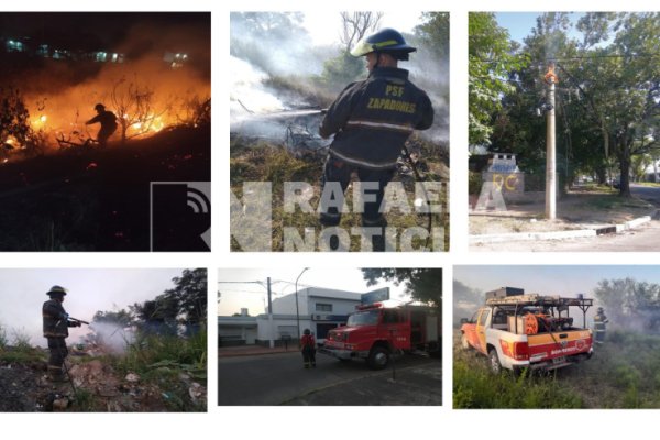 Bomberos logran sofocar diversos focos de incendios