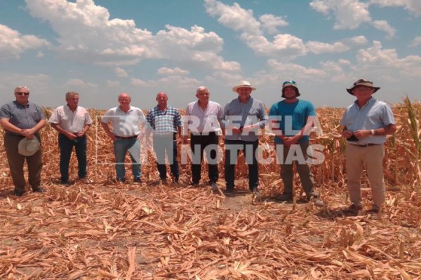 Ampliarán el Fondo de Emergencia Agropecuaria a 12.500 millones de pesos