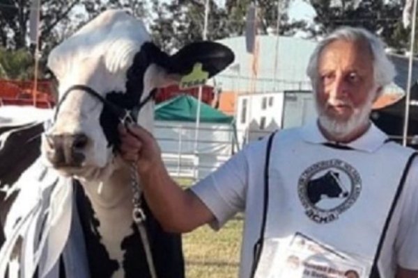 Tres vacas con cuatro premios para estar entre los mejores Holando de Sudamérica