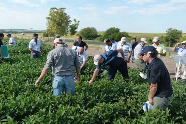 Tandil alojará al Primer Encuentro sobre Producción con Biológicos